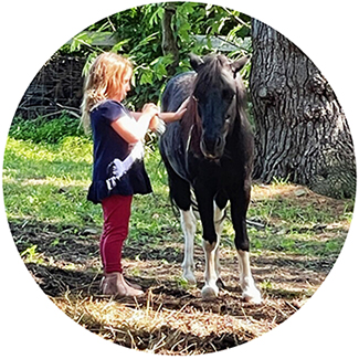 young girl with a horse