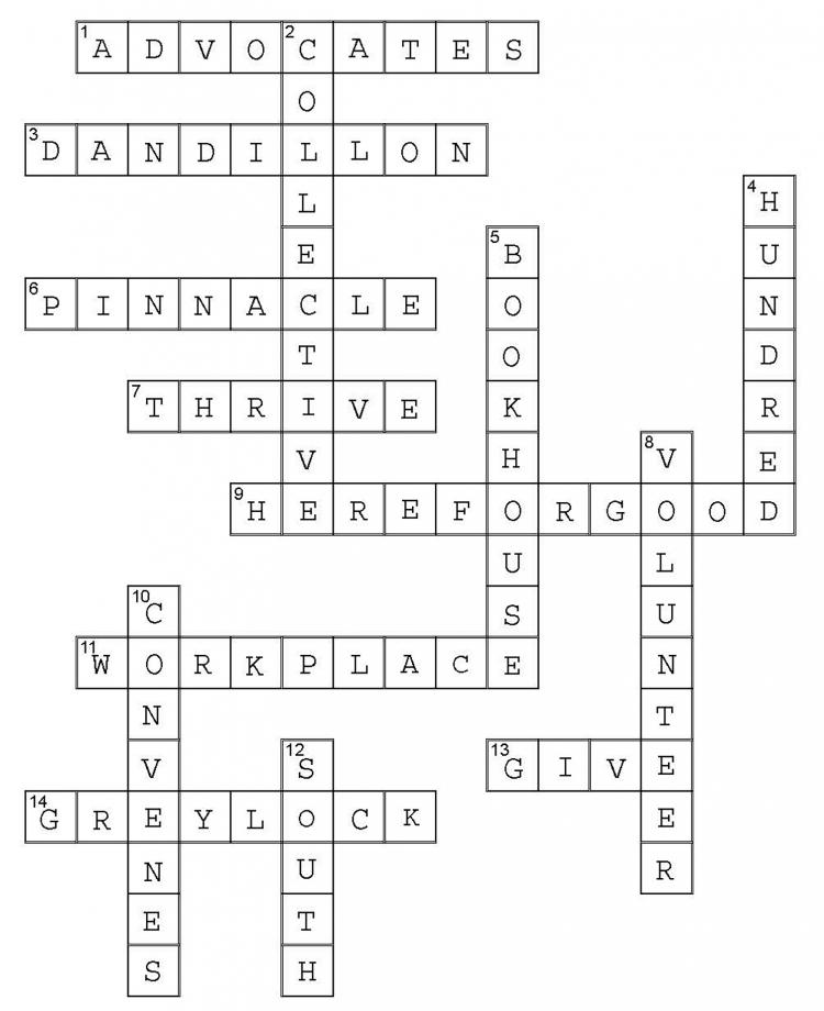 campaign crossword answers