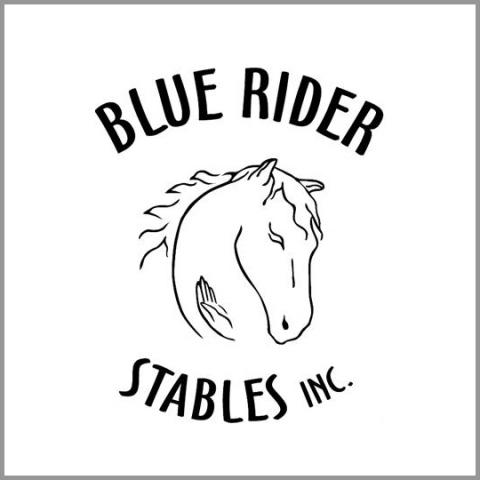 Blue Rider Stables volunteer fair booth logo