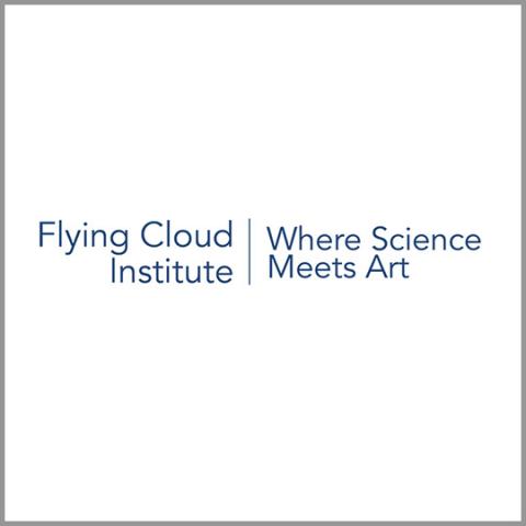 Flying Cloud Institute volunteer fair booth logo